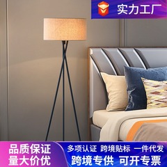 北欧LED落地灯客厅卧室立式床头灯沙发墙角氛围灯现代家居灯具