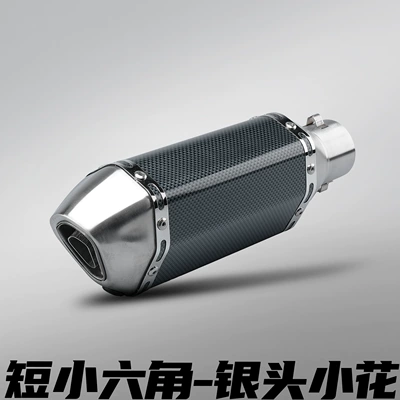 Motorcycle exhaust pipe | Stainless Steel Competition Tail Section - 300mm-short-style-small-hexagon-silver-head-flower