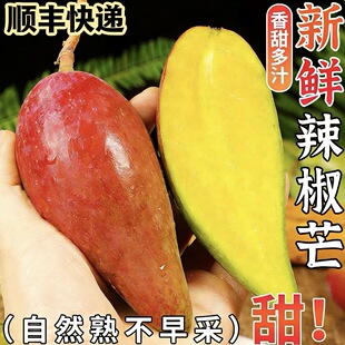 ��S����ââ����������������âС��â�W�t����̨â���râ�����]