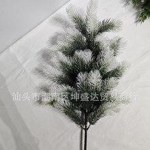 �S�����l�}�Q�乷β��֦������֦�}�Q���b�Ʒ�����}�Q���b���֦