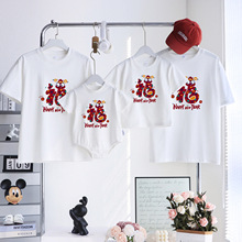 家庭服装亲子装一家四口三口拍照服t恤蛇年2025夏季新款短袖母子