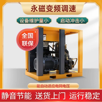 Hava kompressorları: Air Compressor permanent magnet variable