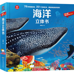 �������w����ͯ3d���w������������ϵ��̽�����صĺ������������