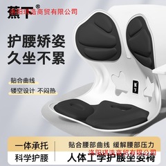 Jiaoxia 人間工学に基づいた腰サポートクッション、座りがちなオフィス背もたれ一体型大人用チェアクッション、腰サポート