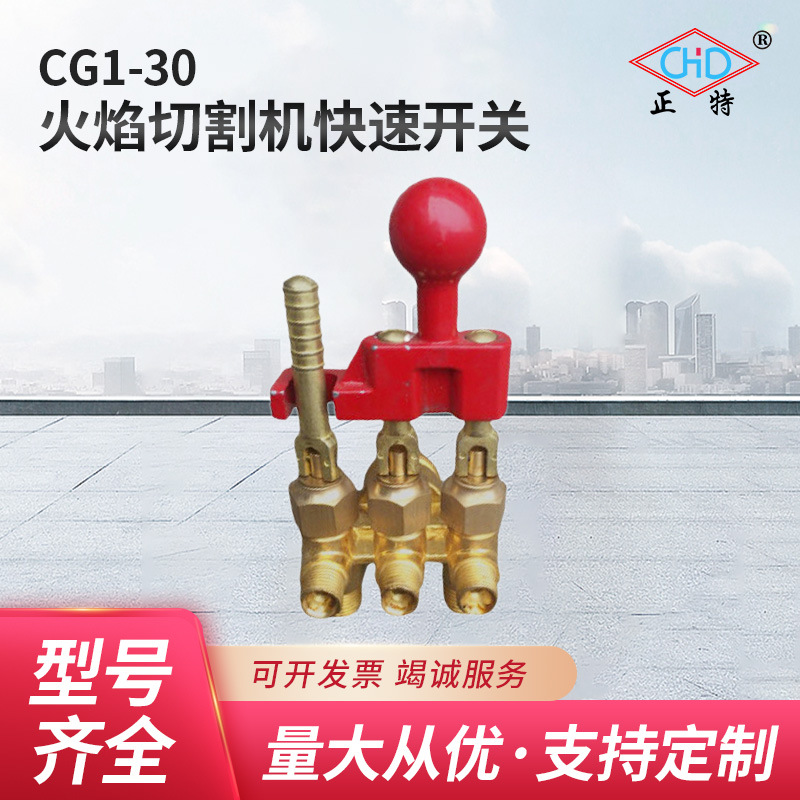 厂家供应温州正特CG1-30火焰切割机快速开关批发量大从优