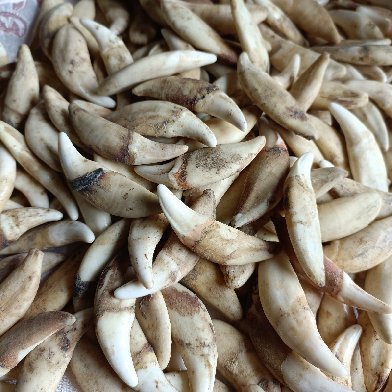 IMG20211216135156_副本