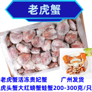 �ϻ�з ����F��з ���^з ��t�з 20��/��  �V�����l 200-300