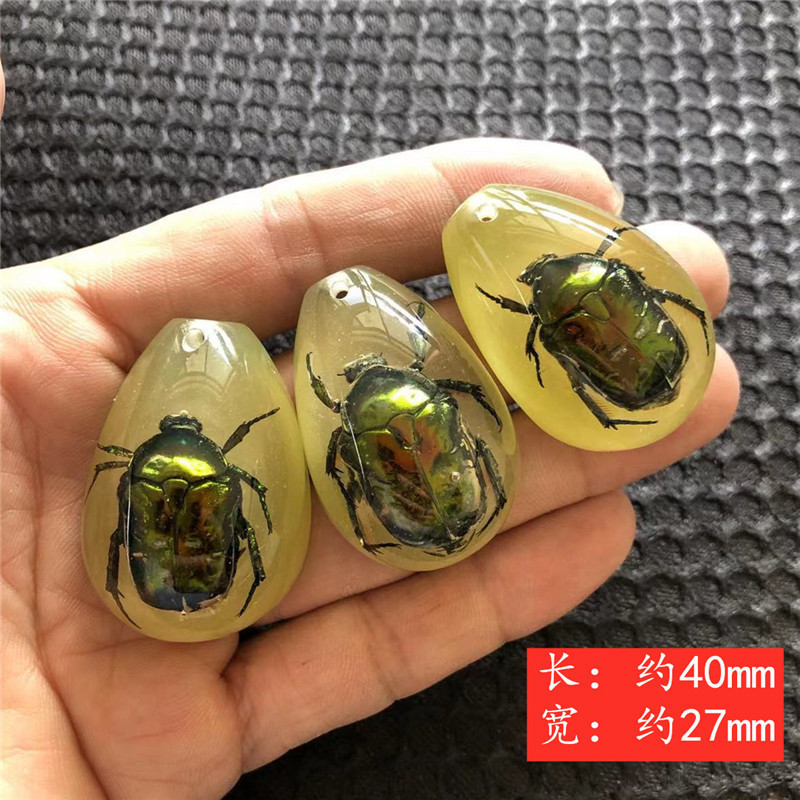 儿童挖掘考古昆虫标本 合成树脂琥珀昆虫 散装水滴盲盒标本现货|undefined