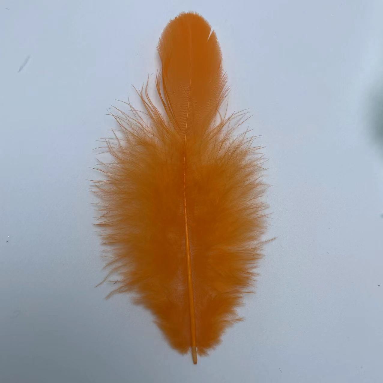 微信图片_20240419094956