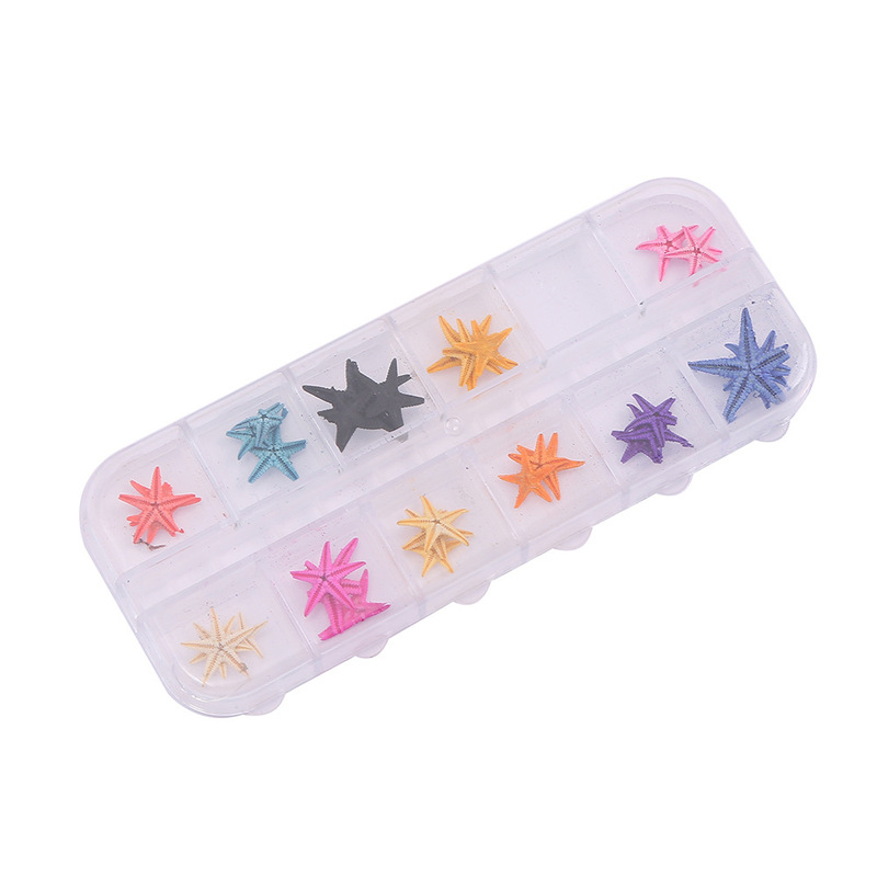 Natural Dyed Starfish Natural Shell Conch Shell Seaside Micro Landscape Crafts Accessories Nail Jewelry Accessories