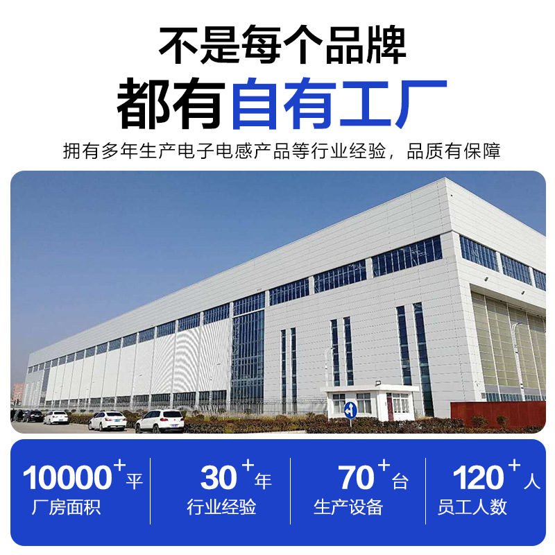 异型电感厂家主板专用型号0810凸台1216凸台1012双股线电子元器件|undefined