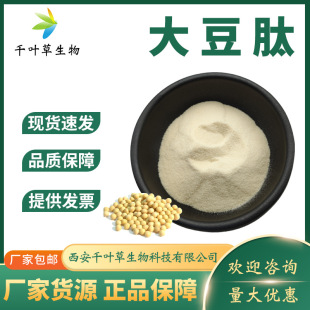 ����98%С���Ӵ󶹵;��ďS�ҬF؛�󶹵��������ܴ���