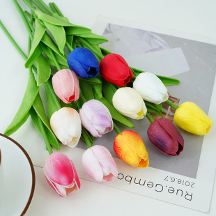 ����pu������� �滨�ٻ���c�Ɍ������b��羳 ����ٻ������l