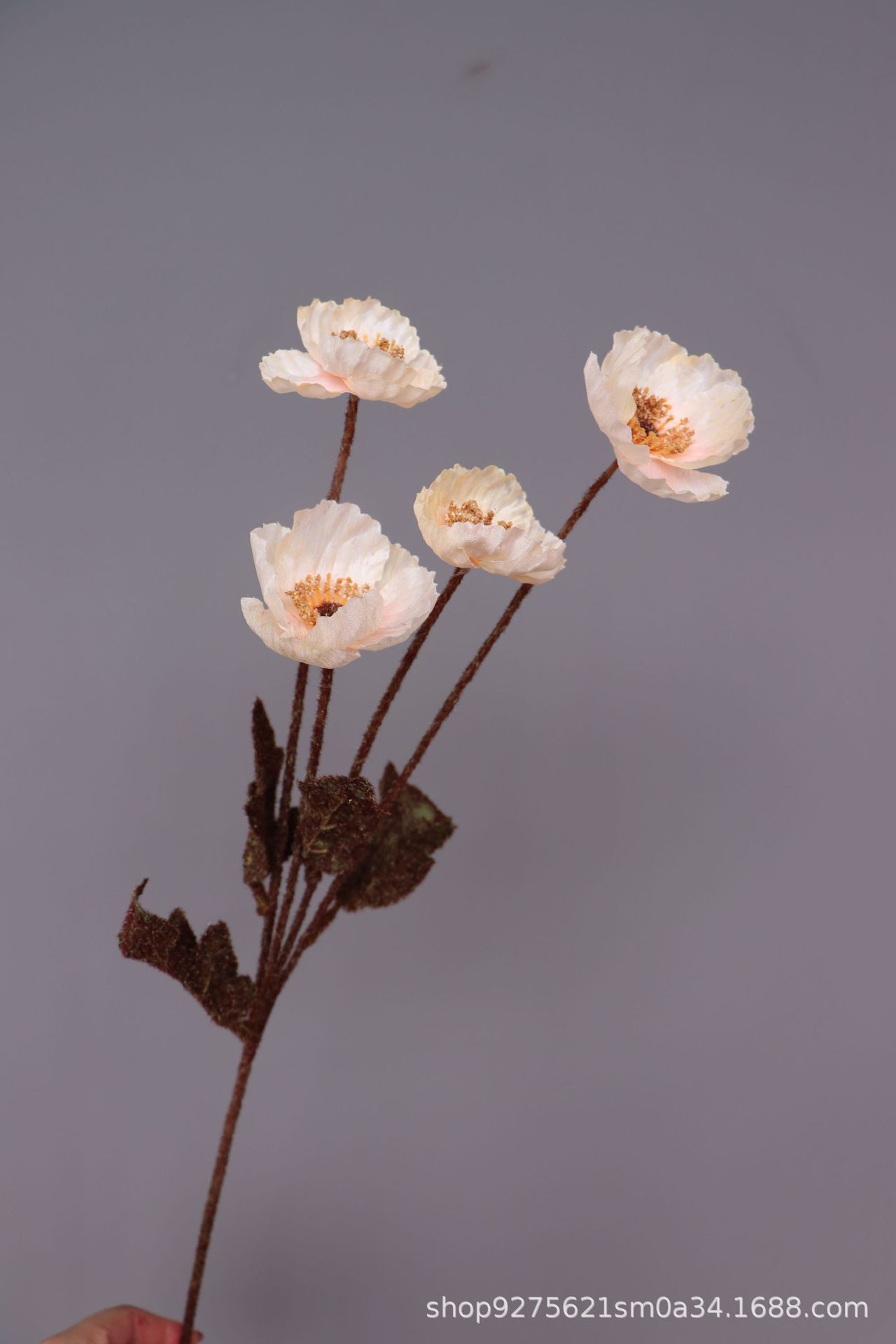 微信图片_20211003173024