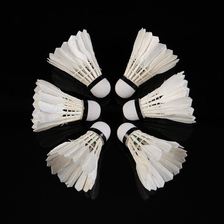 에릭 배드민턴 배드민턴 3 배드민턴 레지스탕스 안정적인 훈련 볼 거위 깃털 플레이 킹 플레이 저항