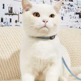 宠物狗狗猫咪牵引绳猫链子小型犬项圈小猫泰迪狗链子遛狗绳猫绳子