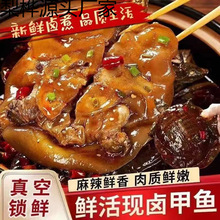 滋补麻辣甲鱼五香卤甲鱼现杀卤真空包装开袋即食卤味熟食零食批发