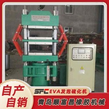 源头厂家货源  EVA发泡硫化机 油封自动热压成型机