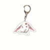 Acrylic keychain, double-sided cartoon pendant