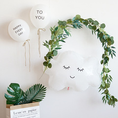 寶寶生日裝飾龜背葉尤加利藤條森系ins小紅書百日宴周歲派對場景