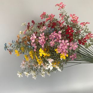 СҰ�����滨��c��Y�Y���bٻ��Ҿ��b���@�L����������