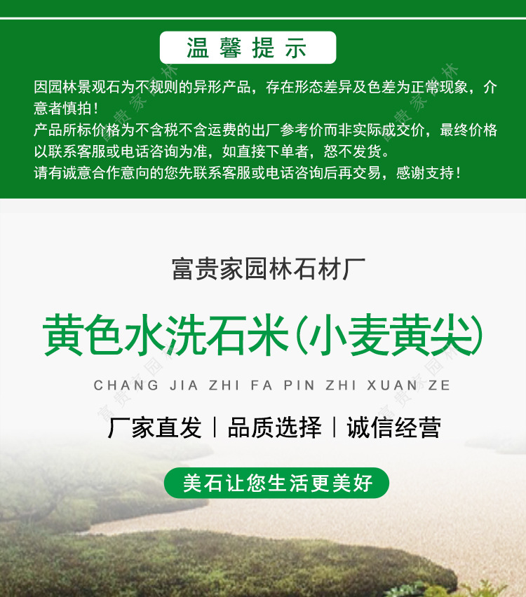 黄色水洗石米(小麦黄尖)(2)_01.jpg