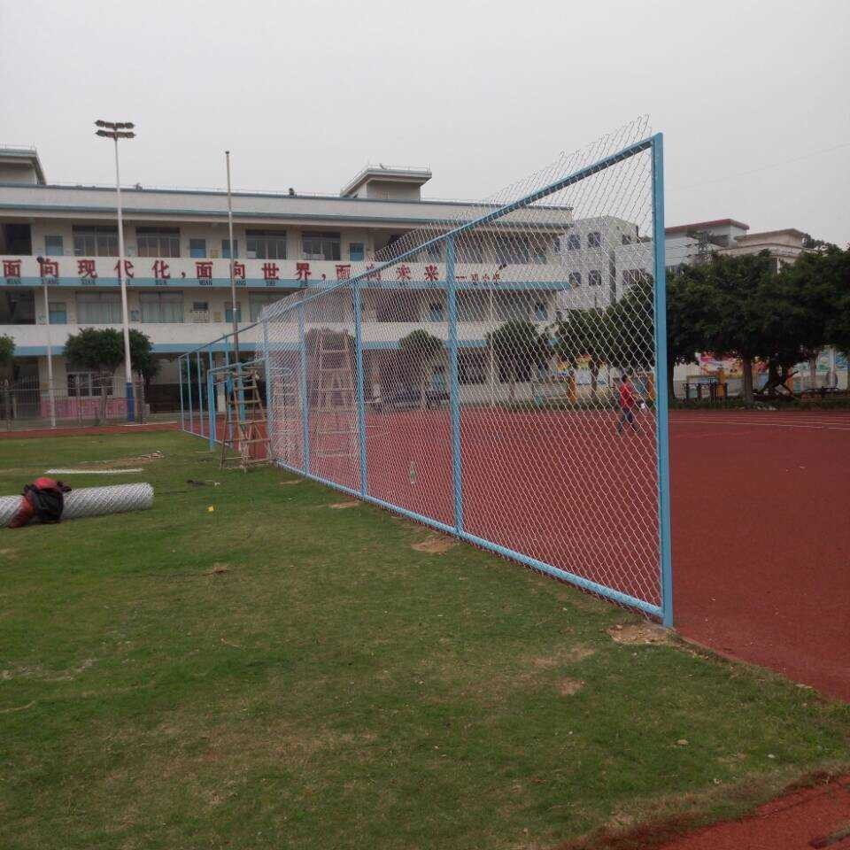 【厂家批发】勾网   勾画网   镀锌勾花网    绿色浸塑勾画网等