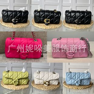 C�ҊW�R�¿�20�c��μ�б��Tabby������W���r��朗lŮʿ����