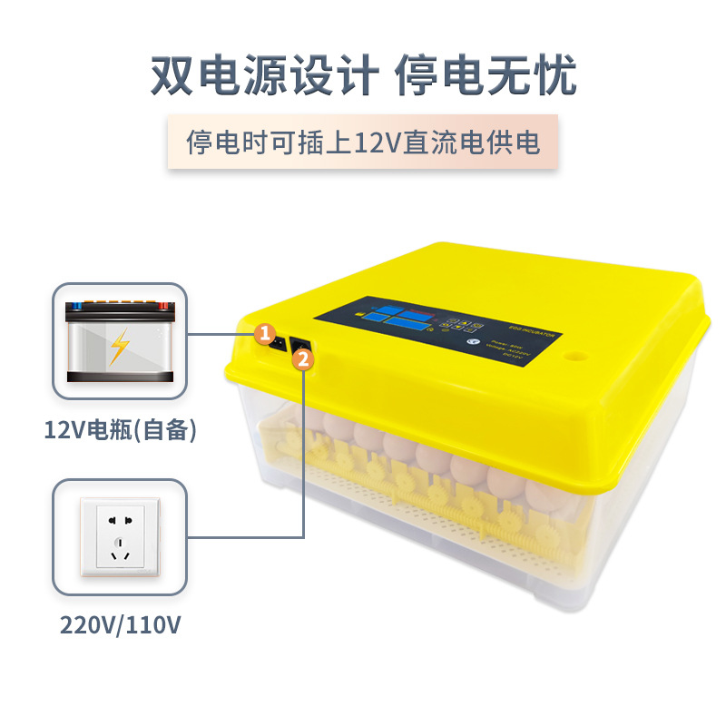56 piezas doble rodillo de potencia mini incubadora de temperatura constante rutina incubadora de pollo pequeña incubadora transfronteriza comercio exterior
