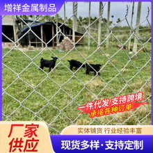 ��\�����W�@����o�ھW�Bֳ�F�z�W����@���ھW�Bֳ䓽z�W�����W