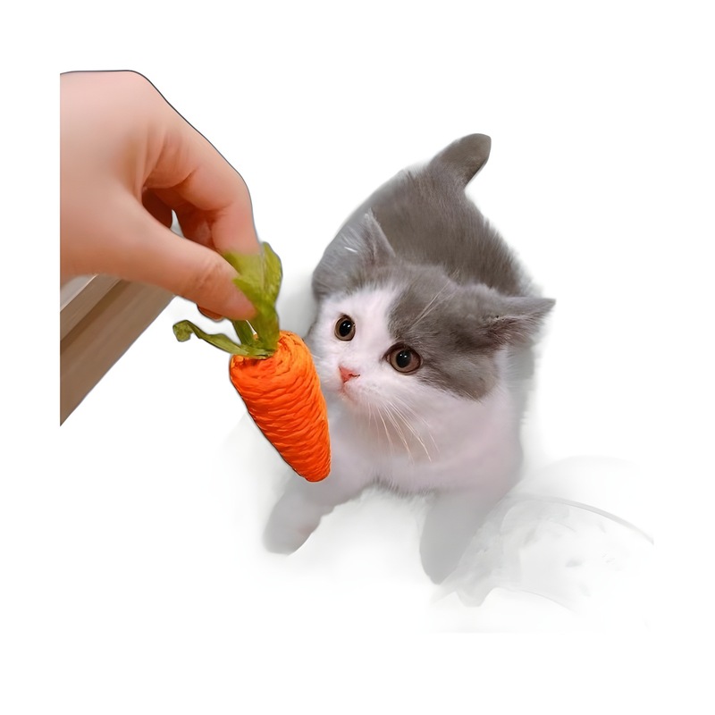 宠物猫咪玩具胡萝卜铃铛逗猫棒幼猫咪自嗨解闷神器玩具猫抓板用品|undefined