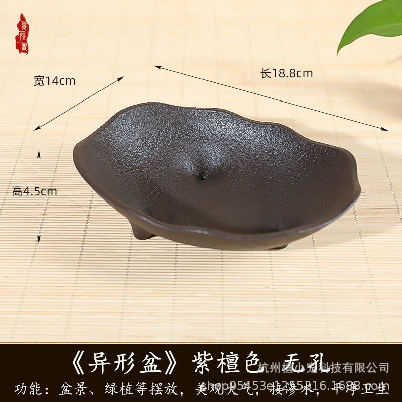 异形花盆悬崖盆菖蒲苔藓球植物山水造景盆栽景盆无孔加厚树脂花盆