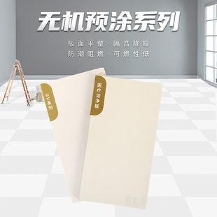 Grade a Inorganic Pre-Coated Calcium Silicate Board Hospital and School Skin-Touch Board Paint-Free Board Prefabricated Wall Board High-Density Board