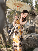 �p�����p���������2023�괺���¿����탞�Ś��|�͹Ň��L�B��ȹŮ