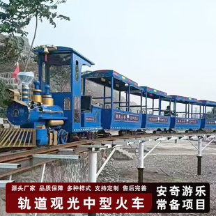 2025 new rice field sightseeing track train outdoor farm net red simulation steam electric sightseeing large train