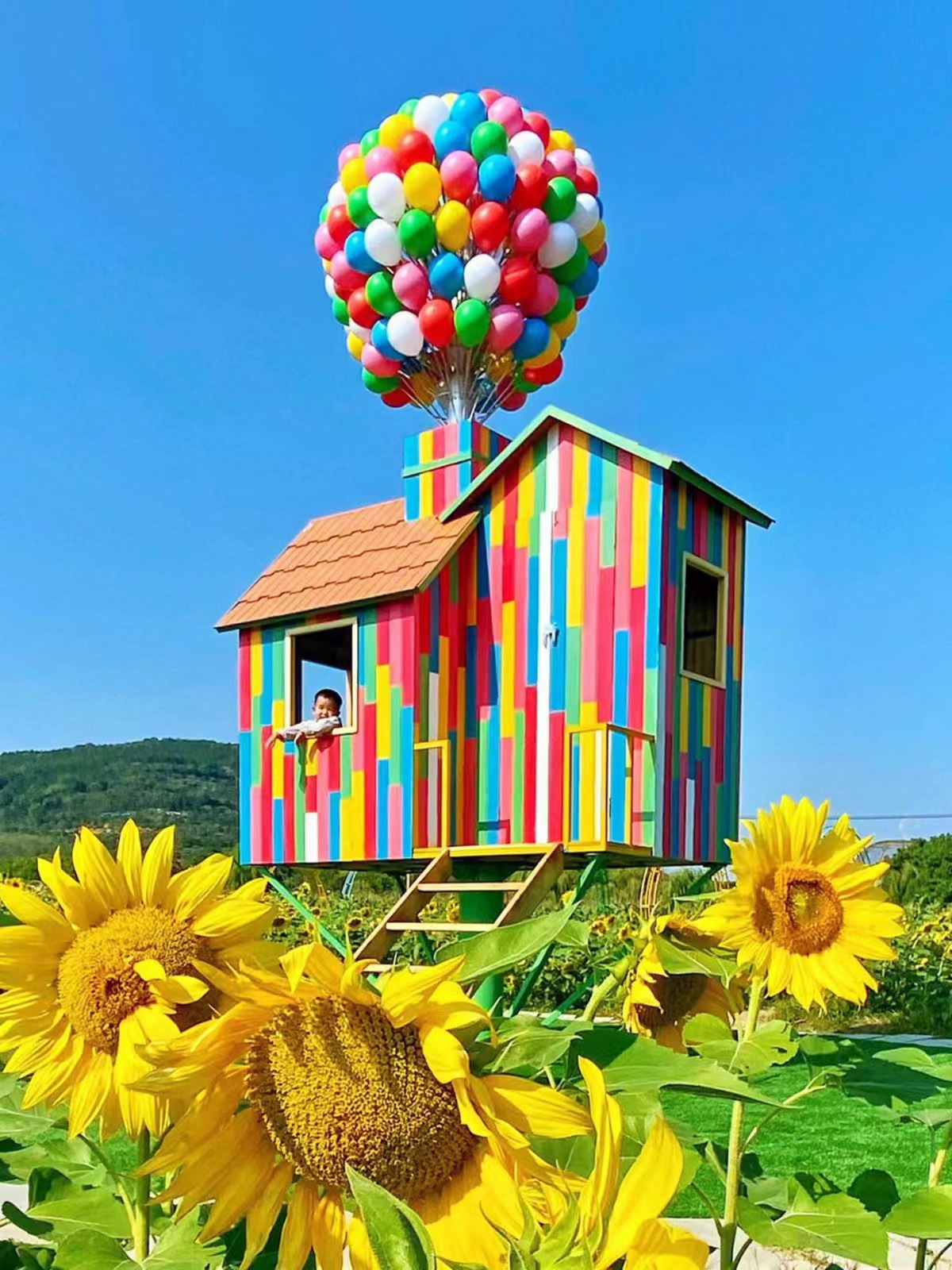 气球小屋飞屋环游记网红打卡拍照田园景区景点小木屋户外美陈摆件-阿里巴巴