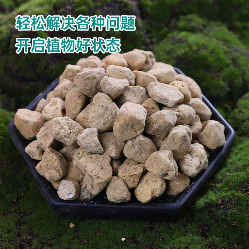 Вулкан Хьюга Камень Легкий Камень Пемза Мясная посадка