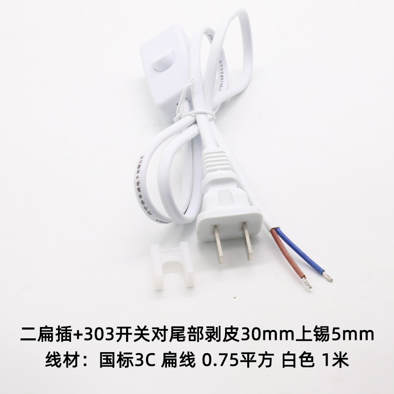 義高二挿し尾部剥皮上錫純銅プラグ303スイッチ付き電気スタンド国標二挿し電源コード|undefined
