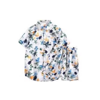 Men's Hawaiian Print Shirt And Shorts Set, Lightweight Breathable Linen Blend Beach Vacation Outfit, Casual Short Sleeve Button Down Shirt_viptrois.com