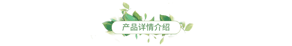 描述详情1