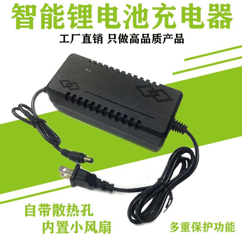 粤臣12V-220V家用插座户外移动电源锂电池专用智能脉冲快充充电器