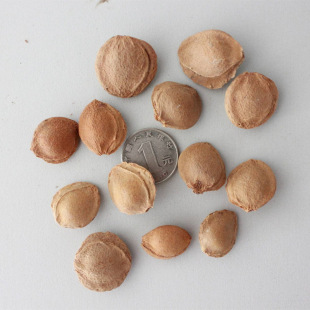 ��ľ�N��ë�ҷN��ɽ�ҷN��ɽ���ҷN��ɽ�ӷN��ɽ���ҷN���Ҙ�N��