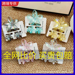 跨境热销时尚炫彩鸡蛋花套装抓夹炫彩花朵发夹度假后脑勺夹子发饰