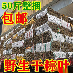 Manufacturer of Wild Dried Zongzi Leaves, Zongzi Leaves, Dragon Boat Festival Zongzi Leaves, Wholesale Kilograms, Commercial Dragon Boat Festival Wild Large Size