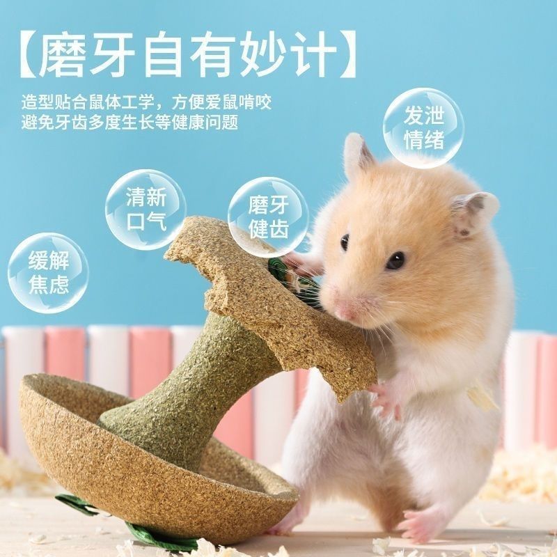 仓鼠苹果核磨牙棒金丝熊仓鼠磨牙食物小零食耐磨躲避造景玩具用品