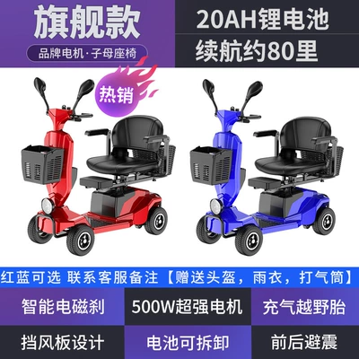Qatlanan elektrik velosipedlər – the Elderly, Disabled - flagship-model-20-lithium-batteries