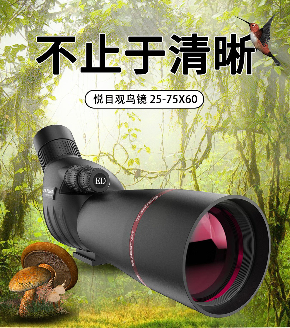 详情图