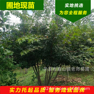 ���Ǘ����煲����l�������ʾG�h��@�^С�^�L���G������ҕ�lӆ؛