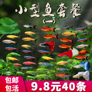 С�͟Ꭷ�����~���R�~��̖�^�p�~��ˮ���B�ͻ��ȸ�~����w�����