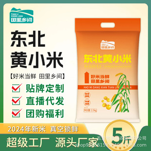 �������l�g��25�����ז|���SС���r��һ�� Ŵ�׺��� ������ 2.5kg